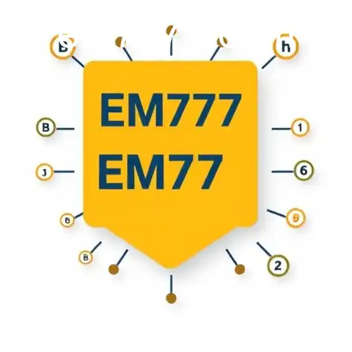 Understanding User Agreements: The Case of EM777
